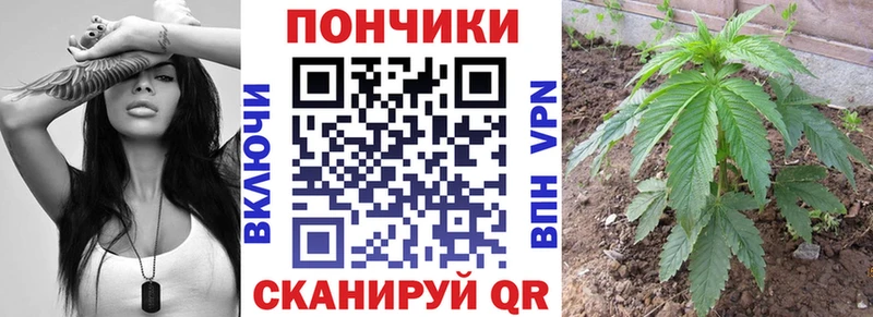 ГАШ Мураши