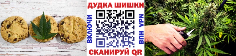 Купить где  Мураши  Cannafood конопля 