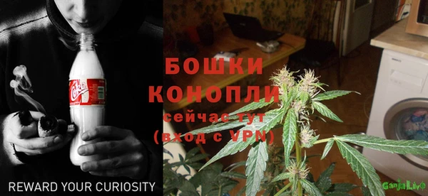 спиды Арсеньев