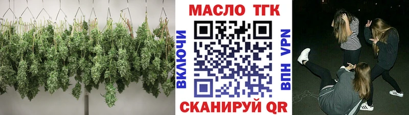 ТГК жижа  Купить закладки  Мураши 