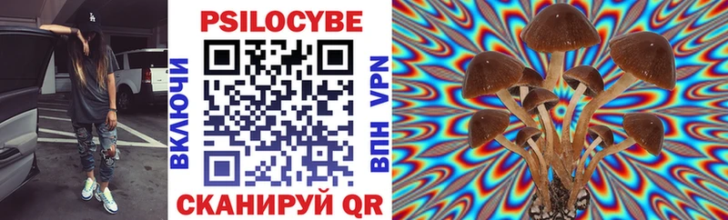 Псилоцибиновые грибы мицелий  Купить  Мураши 