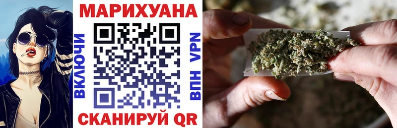 Конопля сатива  Купить закладки  Мураши 